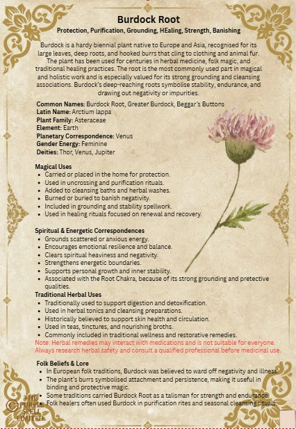 Burdock |  Herbs | 90g | Spell Reagent | Herb Work