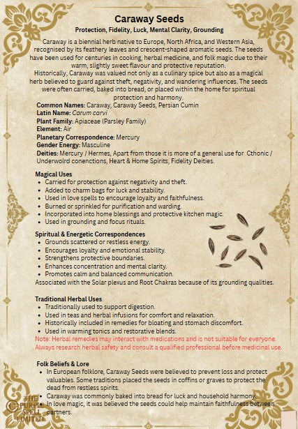 Spell Page Caraway Seeds | Grimoire | Book of Shadows | Book of Spells | Spell Ingredients | Herbwork | Root Work