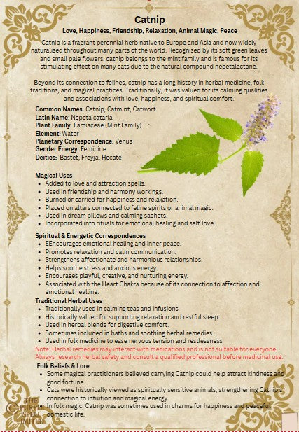 Catnip | 30g | Herbs | Spell Reagent | Herbwork | Rootwork |