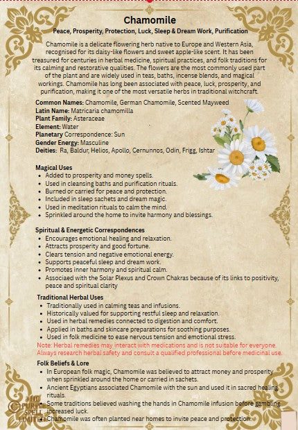 Spell Page Chamomile | Grimoire | Book of Shadows | Book of Spells | Spell Ingredients | Herbwork | Root Work