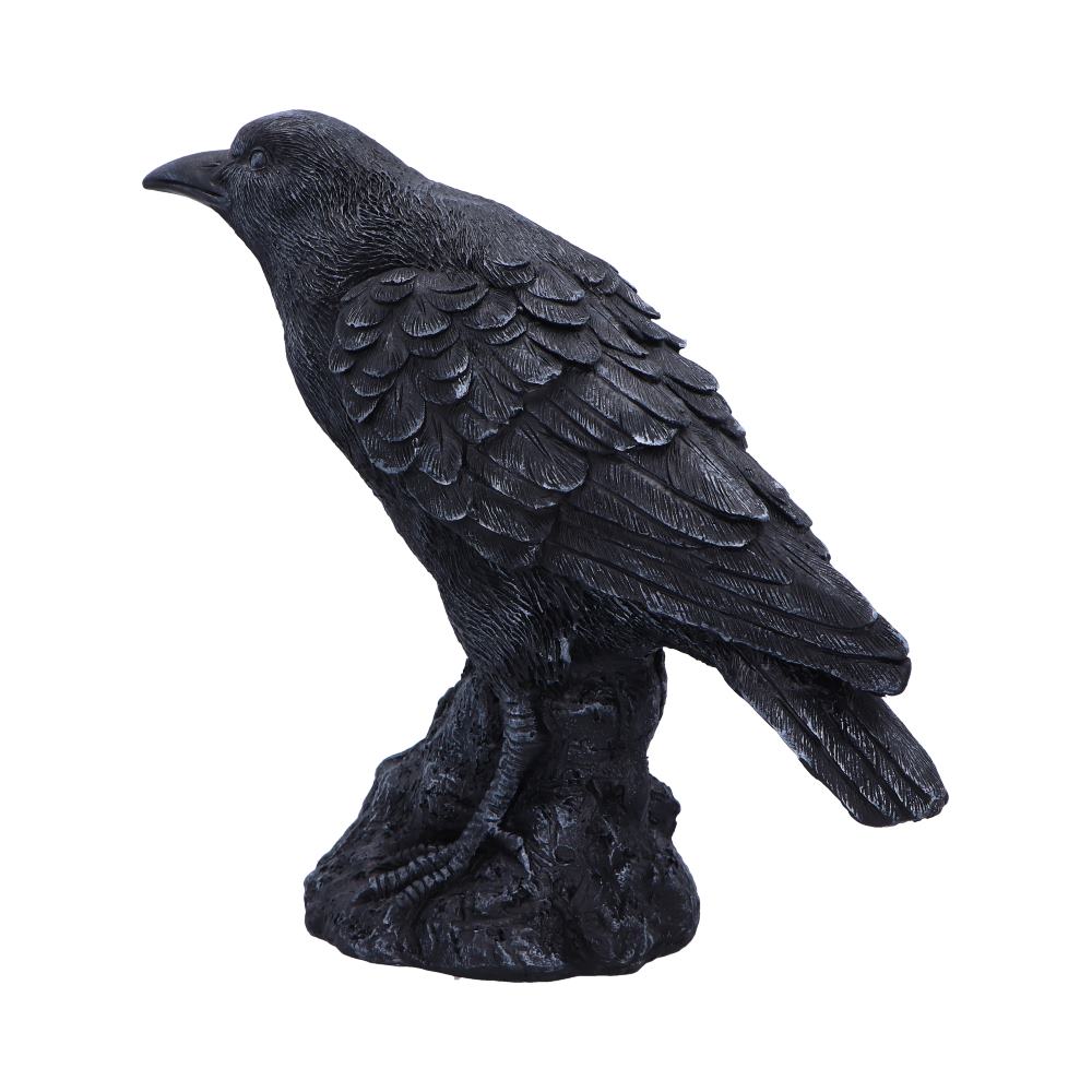 Raven Messenger Figurine | 25cm | Bird Figurine