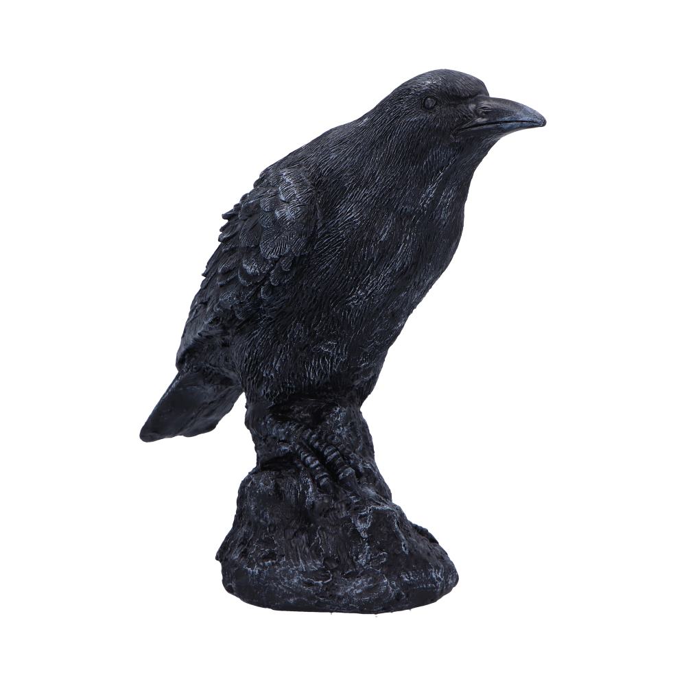 Raven Messenger Figurine | 25cm | Bird Figurine