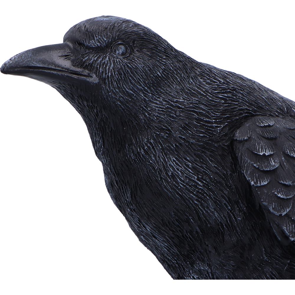 Raven Messenger Figurine | 25cm | Bird Figurine