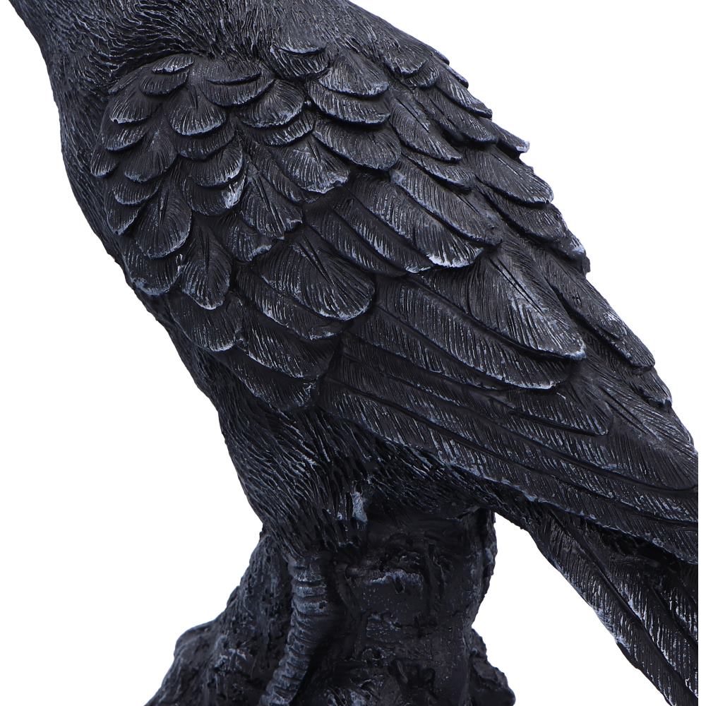Raven Messenger Figurine | 25cm | Bird Figurine