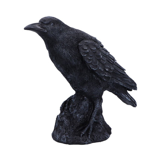 Raven Messenger Figurine | 25cm | Bird Figurine