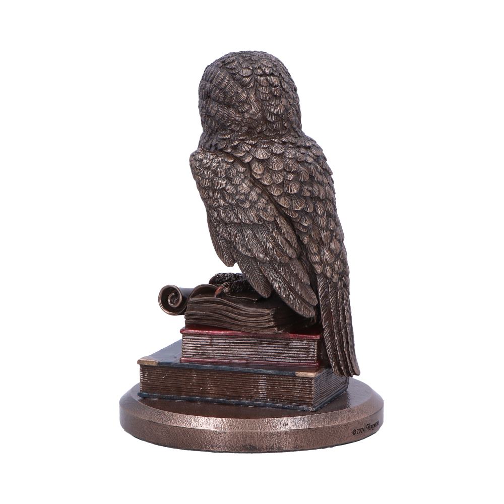 An Owl's Tale Bronze Figurine | 14.5cm | Gith | Fantasy
