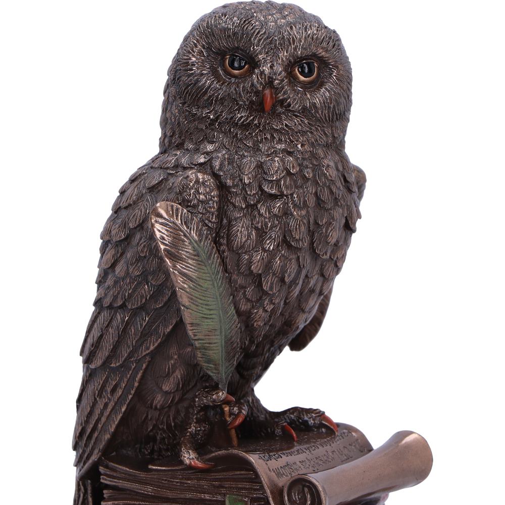 An Owl's Tale Bronze Figurine | 14.5cm | Gith | Fantasy