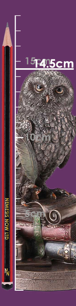 An Owl's Tale Bronze Figurine | 14.5cm | Gith | Fantasy