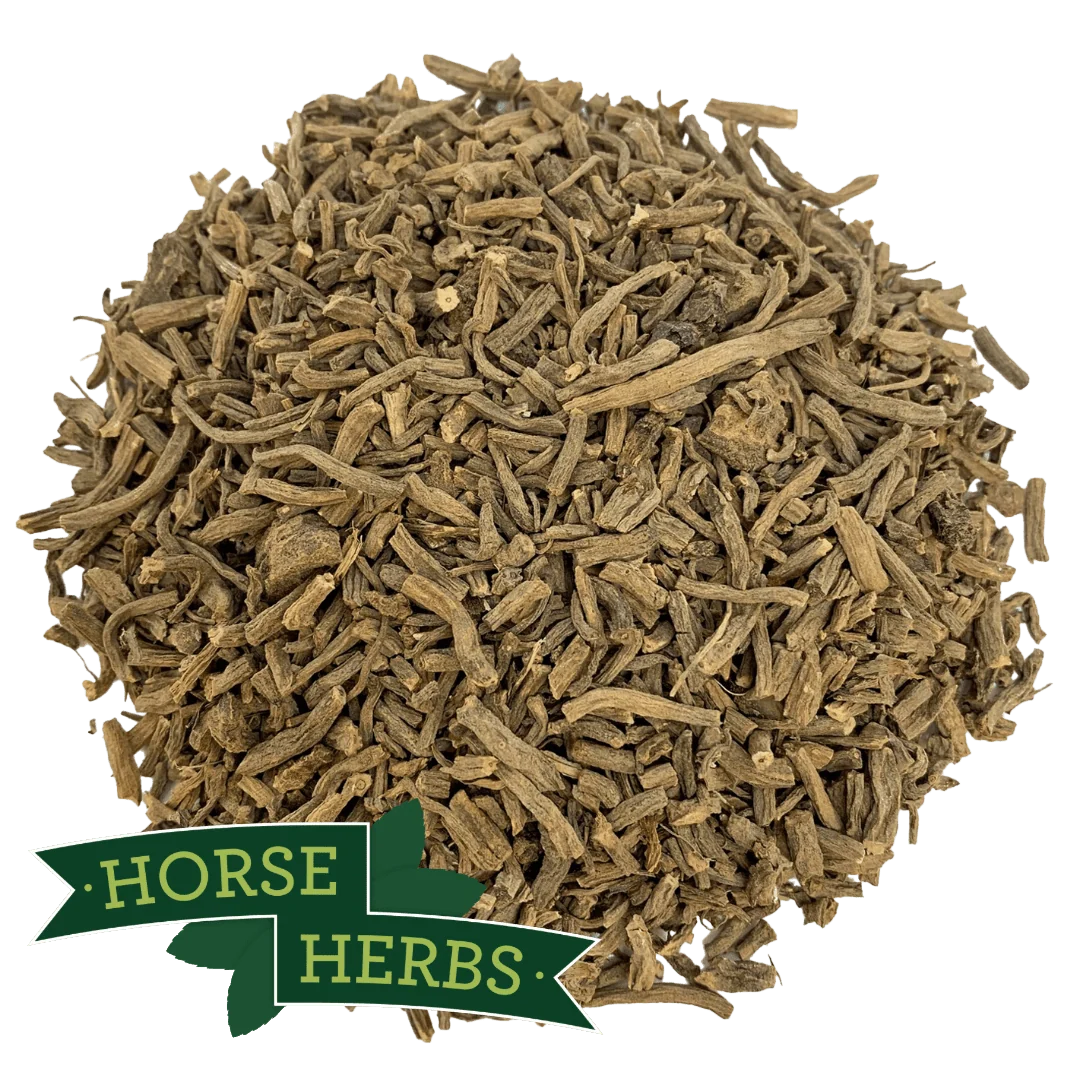 Valerian Root | 100g | Herbs | Spell Reagent | Herbwork | Rootwork
