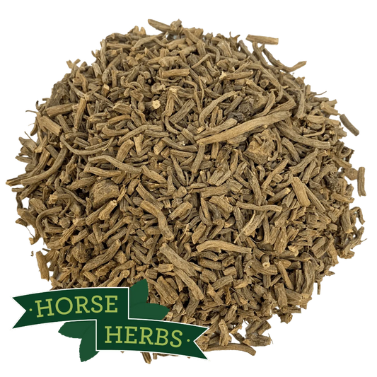 Valerian Root | 100g | Herbs | Spell Reagent | Herbwork | Rootwork