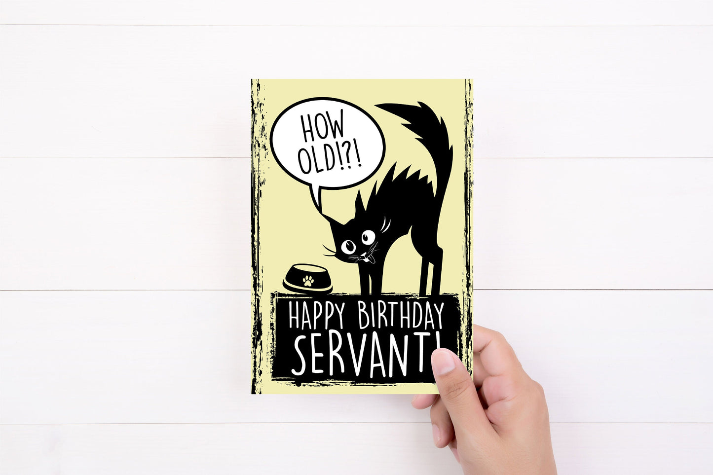 Cat Birthday Card Bundle | Crazy Cat Lady | GreetingCard | Cattitude