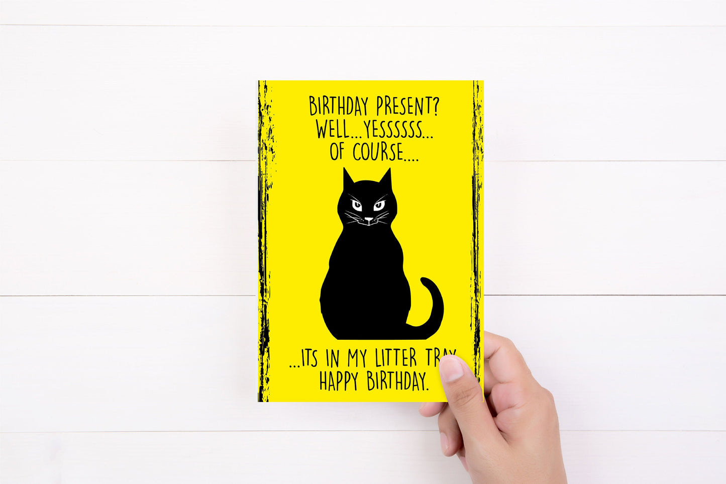 Cat Birthday Card Bundle | Crazy Cat Lady | GreetingCard | Cattitude