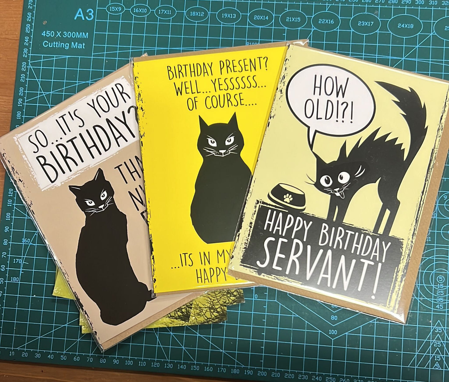 Cat Birthday Card Bundle | Crazy Cat Lady | GreetingCard | Cattitude