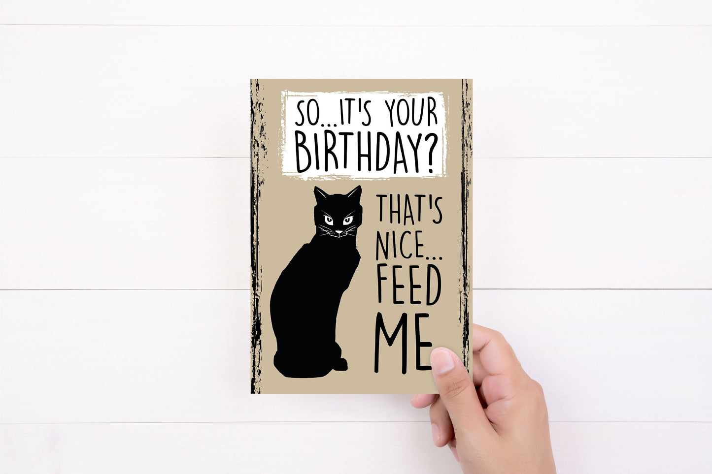 Cat Birthday Card Bundle | Crazy Cat Lady | GreetingCard | Cattitude