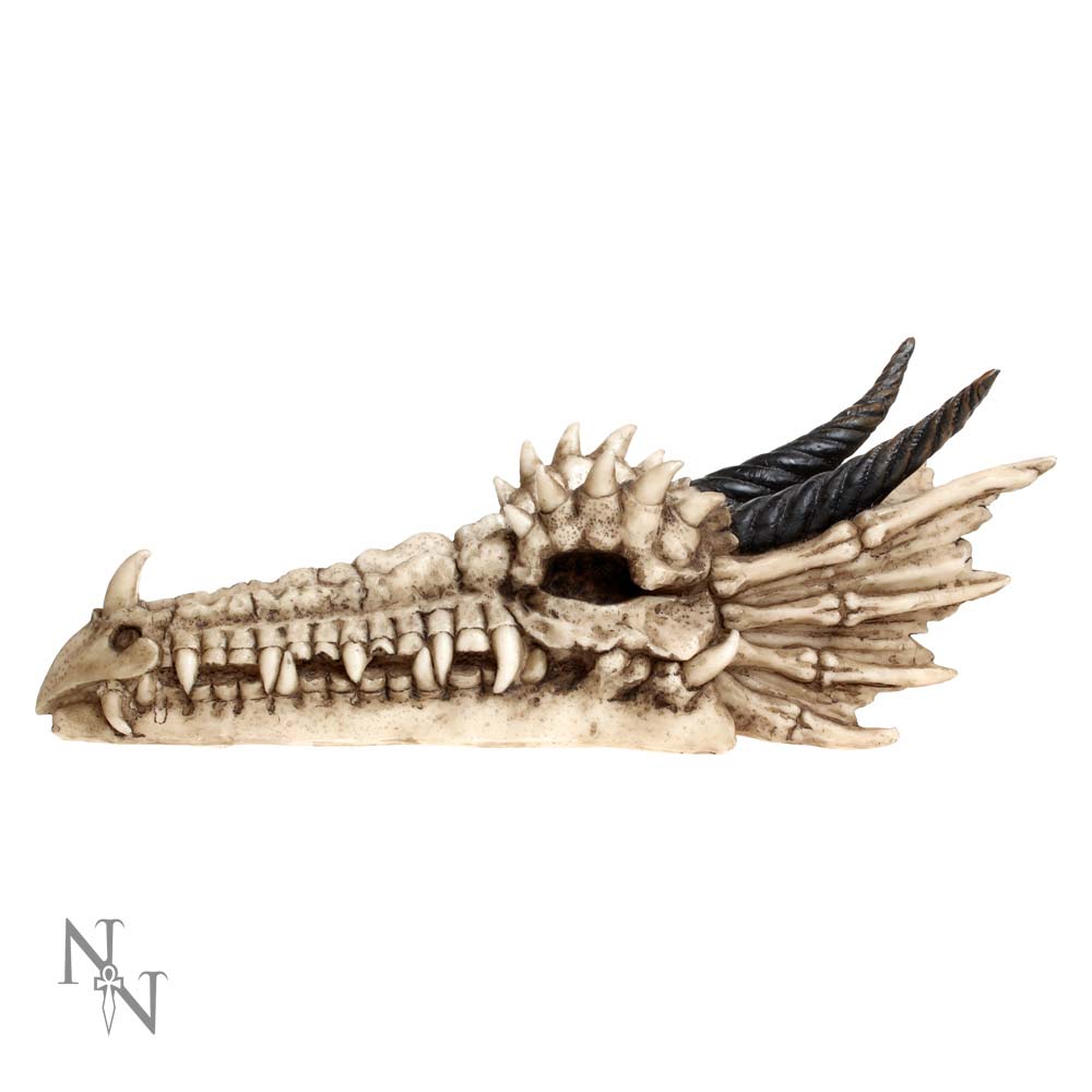 Draco Skull Incense Holder 24cm | Dragon Incense Holder | Incense Stick Holder