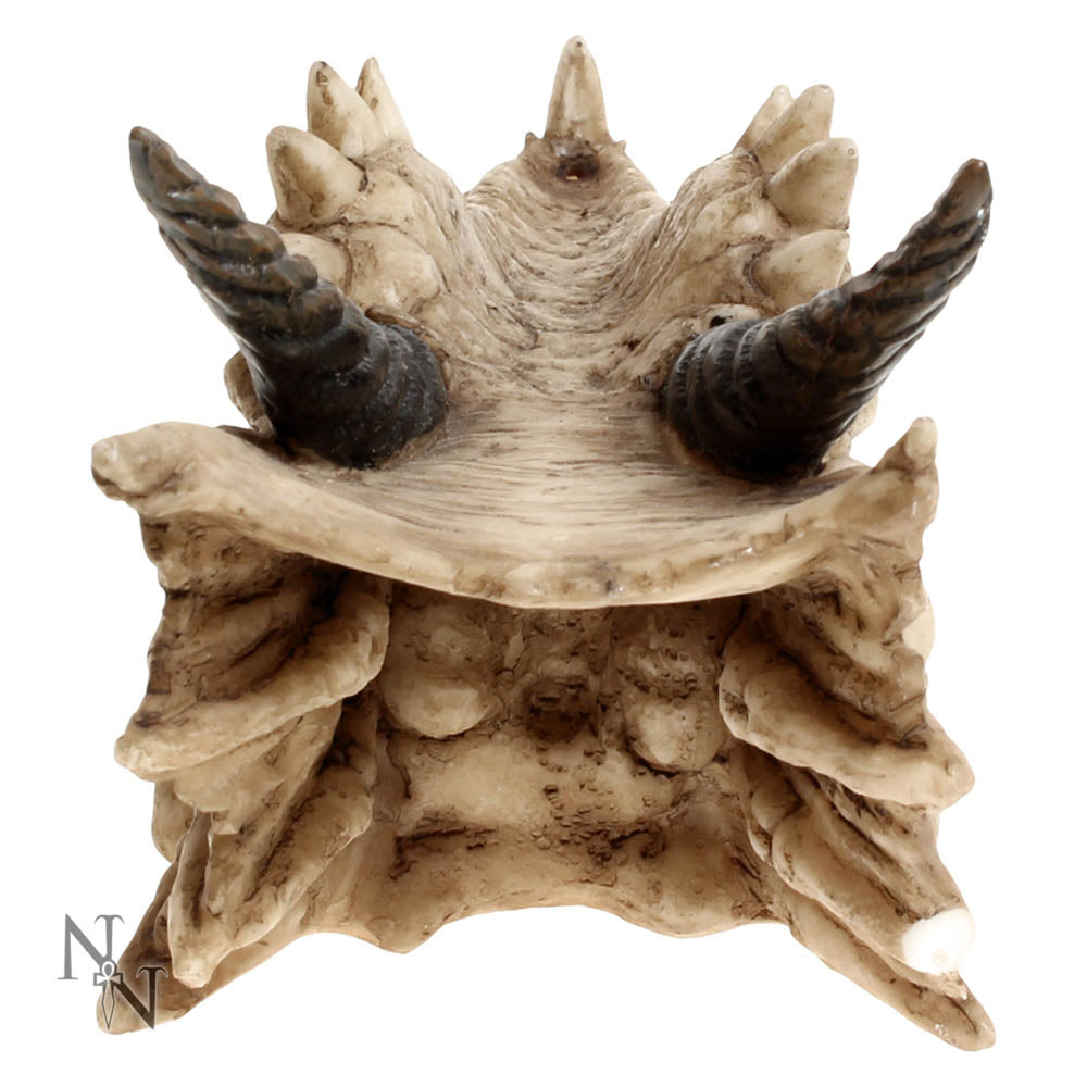 Draco Skull Incense Holder 24cm | Dragon Incense Holder | Incense Stick Holder