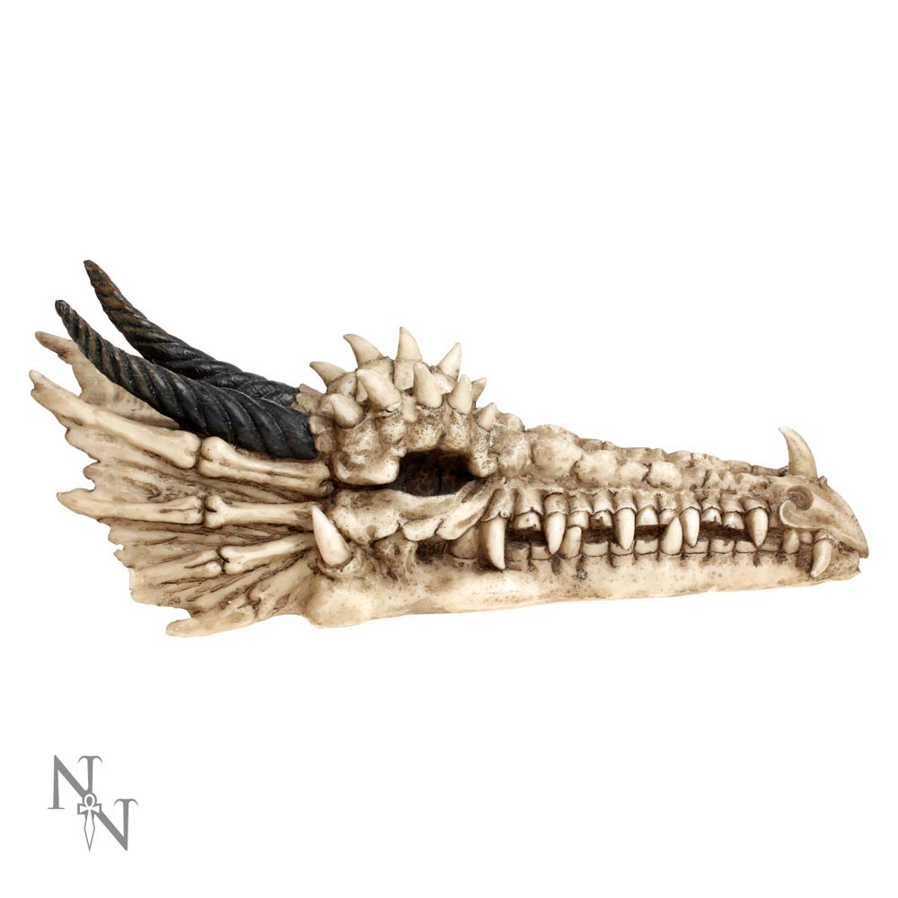 Draco Skull Incense Holder 24cm | Dragon Incense Holder | Incense Stick Holder