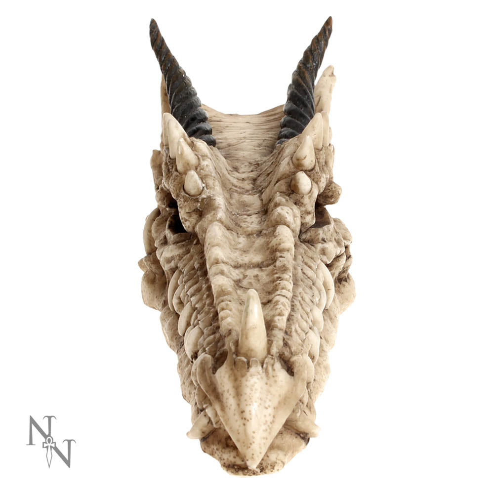 Draco Skull Incense Holder 24cm | Dragon Incense Holder | Incense Stick Holder