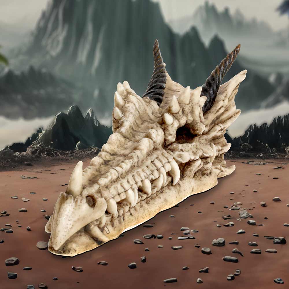 Draco Skull Incense Holder 24cm | Dragon Incense Holder | Incense Stick Holder